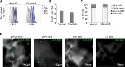 A millifluidic bioreactor allows the long term culture of primary lymphocytes or CD34+ hematopoietic cells while allowing the detection of tumorigenic expansion